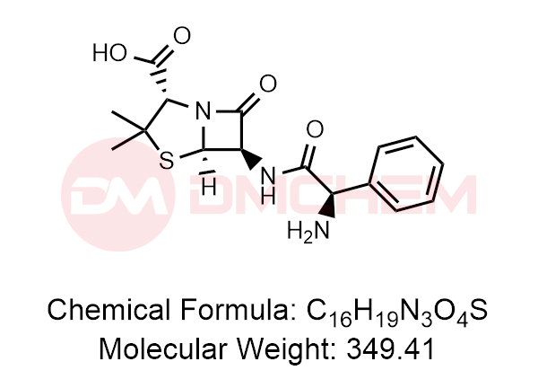 Amoxicillin