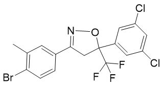 图片25