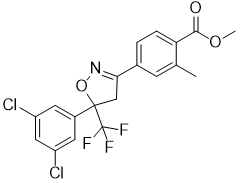 图片37