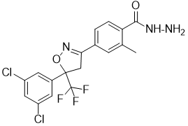 图片45